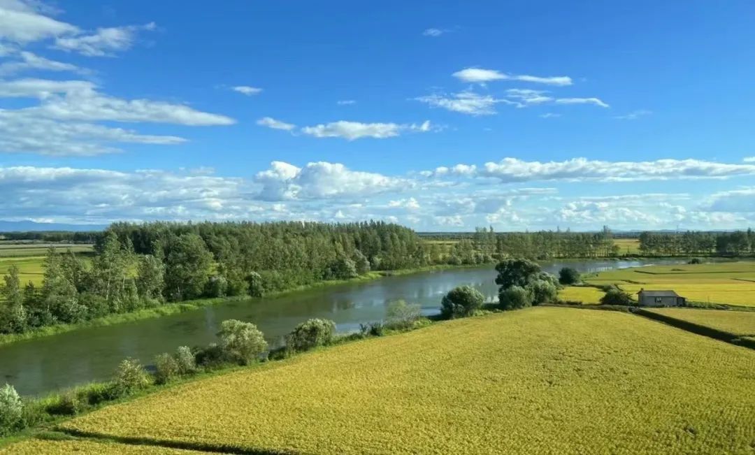 乡村振兴100讲全集,100个经典乡村振兴案例