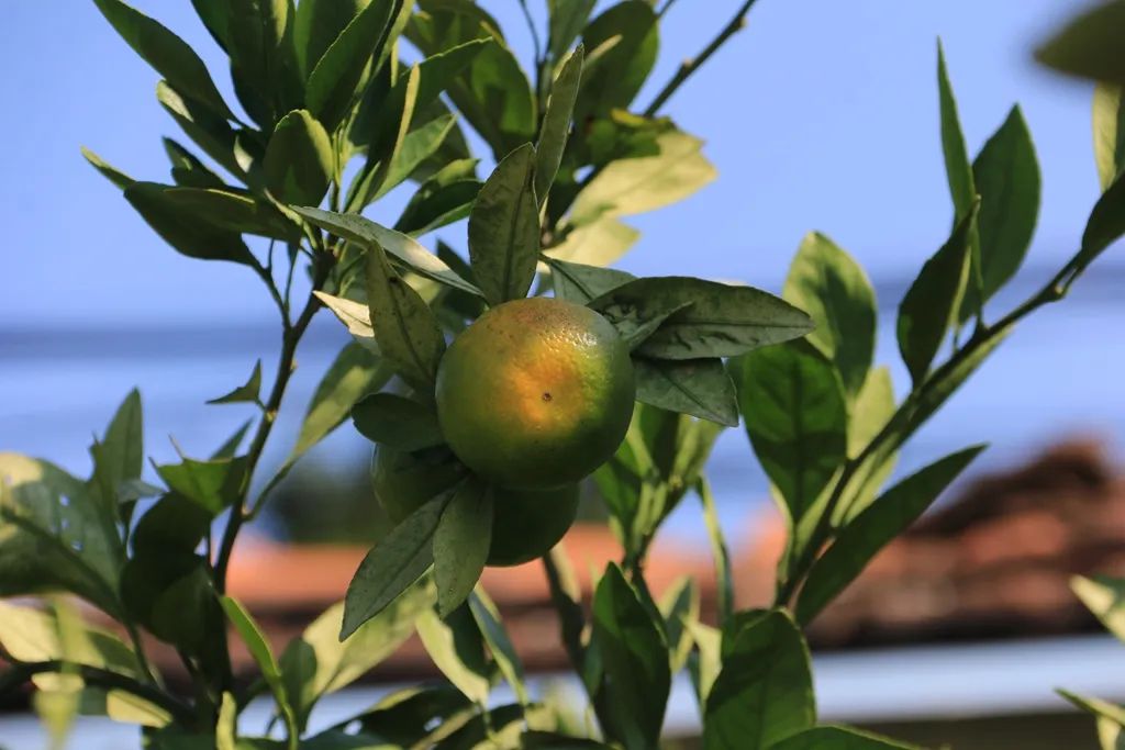 最近的泰兴,泰兴现在的样子