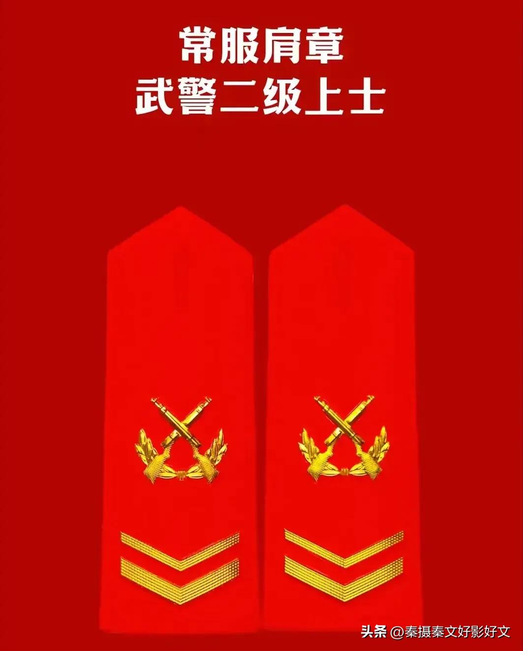 陆海空火箭军*警武**部队全套常服肩章和21式作业服套式肩章