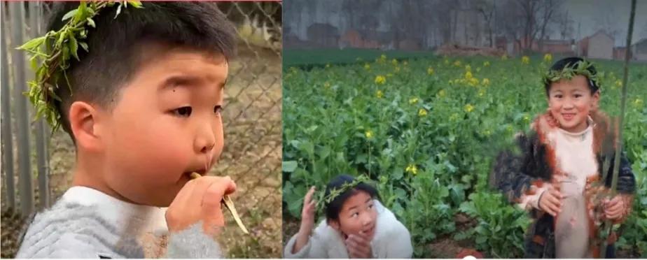 河柳拼音,河柳图