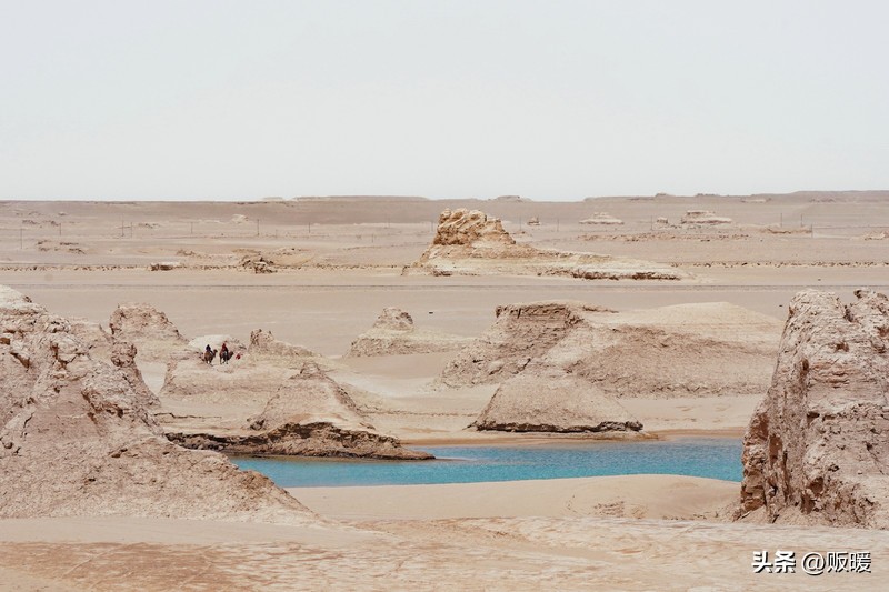 青海｜热爱西风和烈酒，也爱孤独和自由