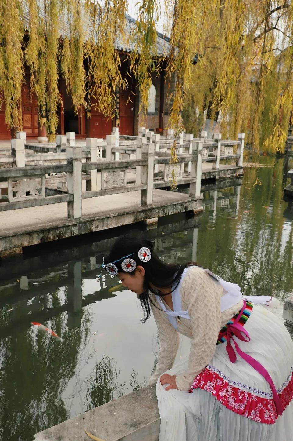 木府风云结局阿勒邱和木府的恩怨,木府风云木增阿勒邱重回木府