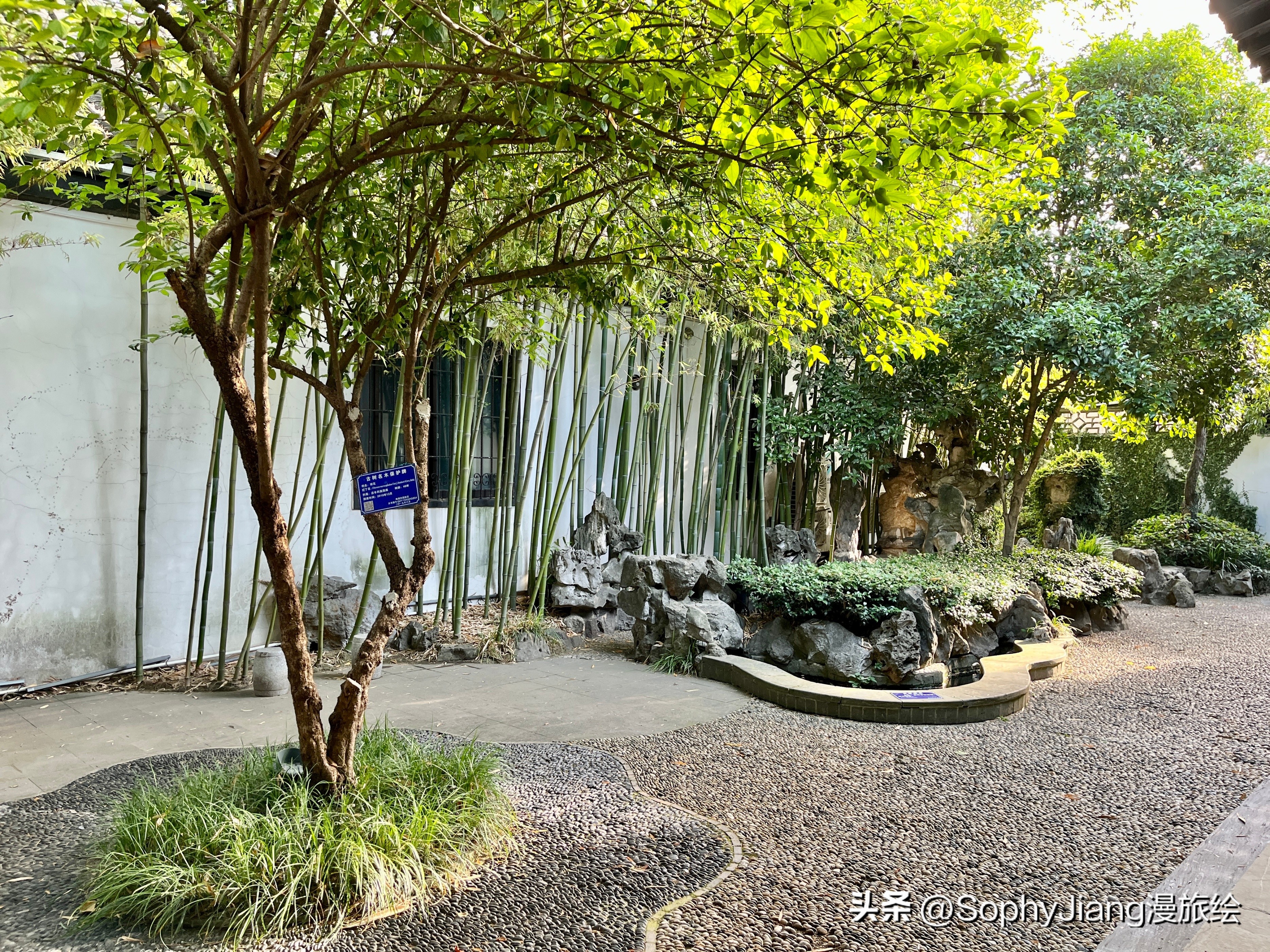 住在扬州盐商大宅门里，晚清珍园酒店体验及周边老街逛吃