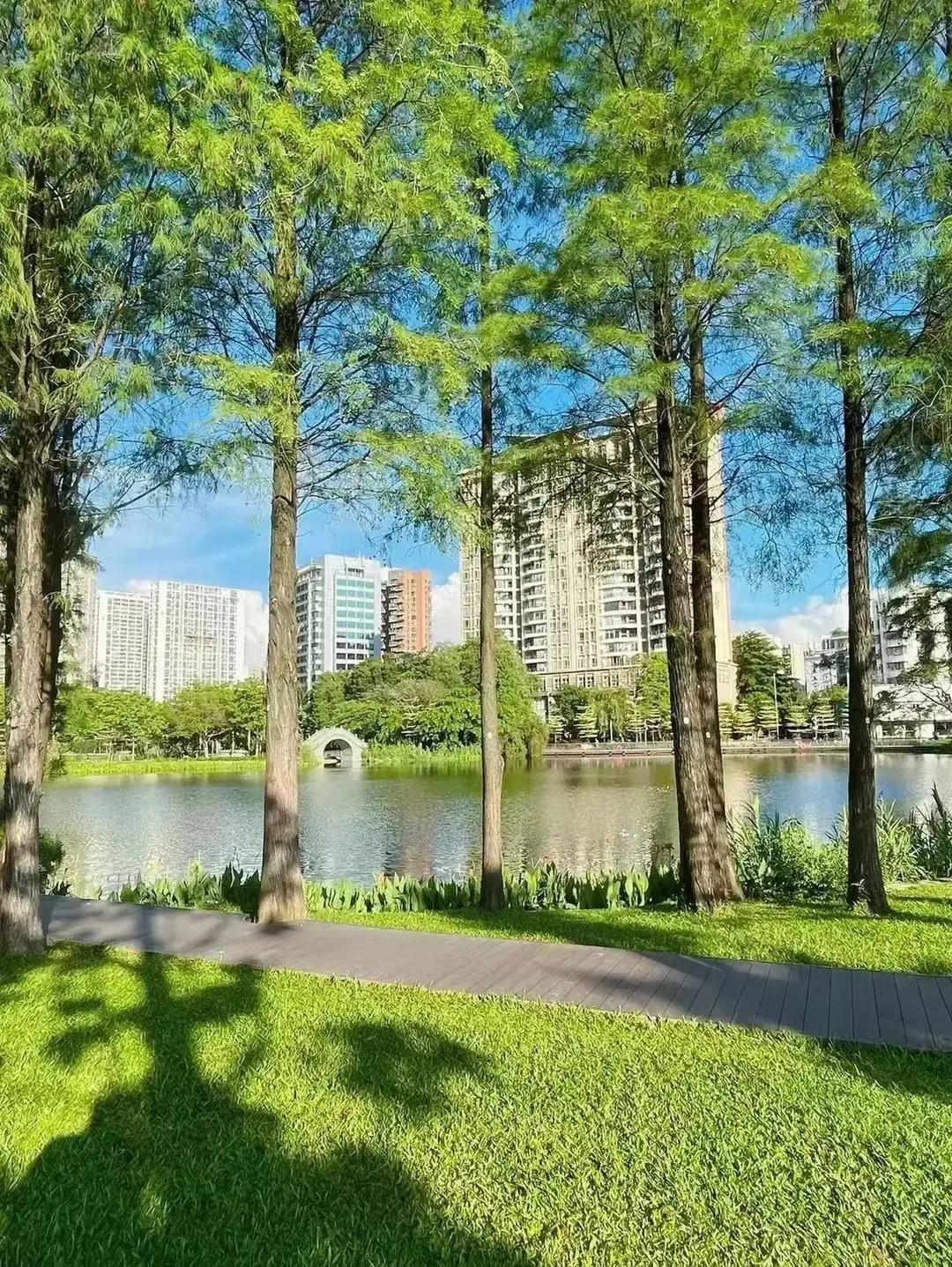 家庭情感背后真相,让你看清感情背后的真相