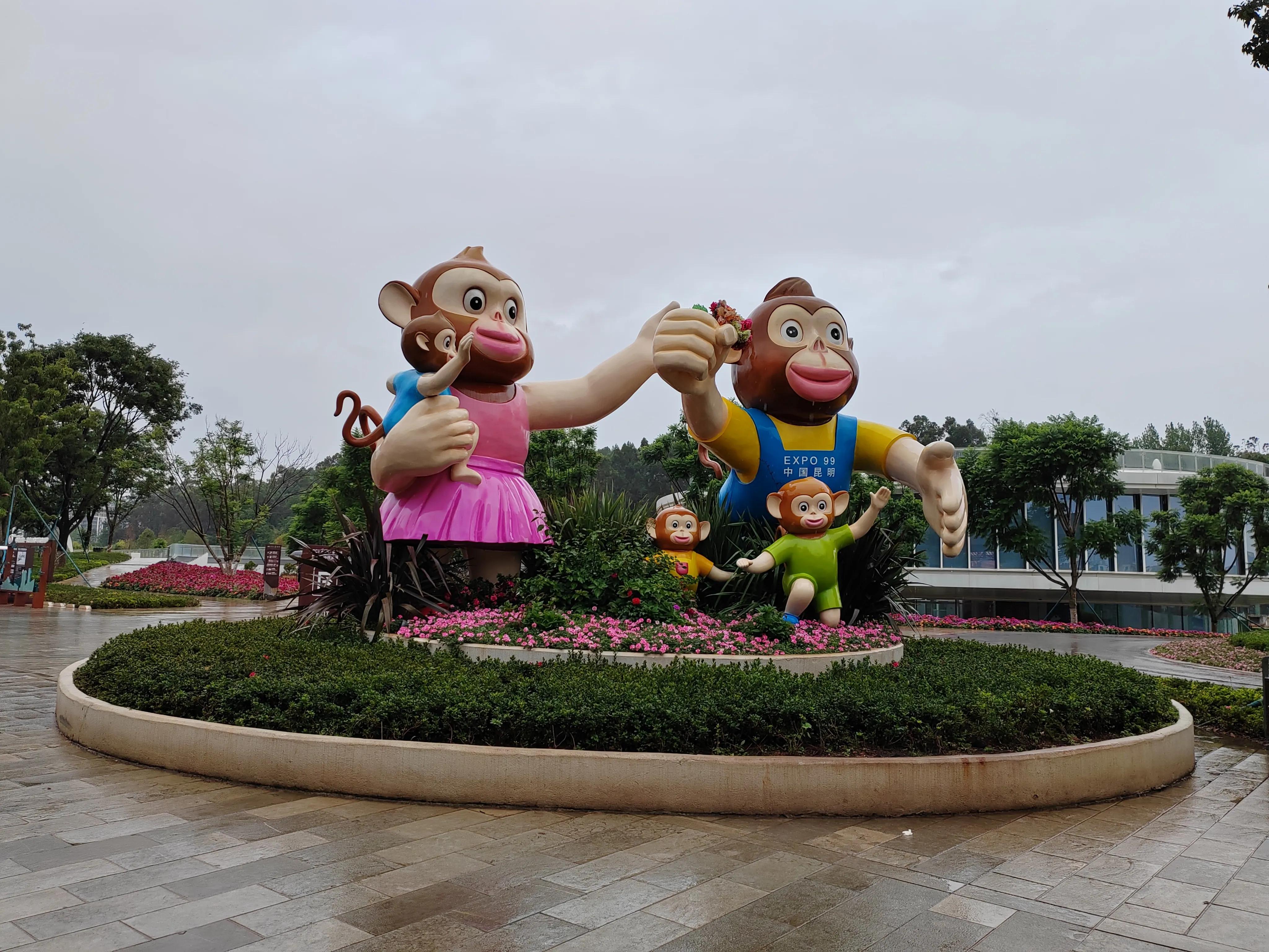 与春城昆明的再次邂逅，让这个盛夏有一抹清凉