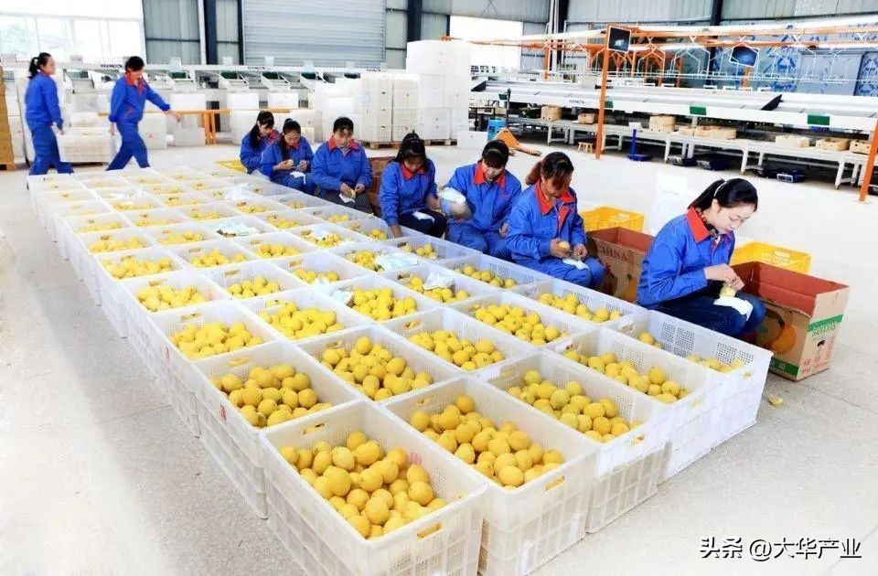 干货现代农业产业园应该如何打造,现代农业产业园建设规划方案