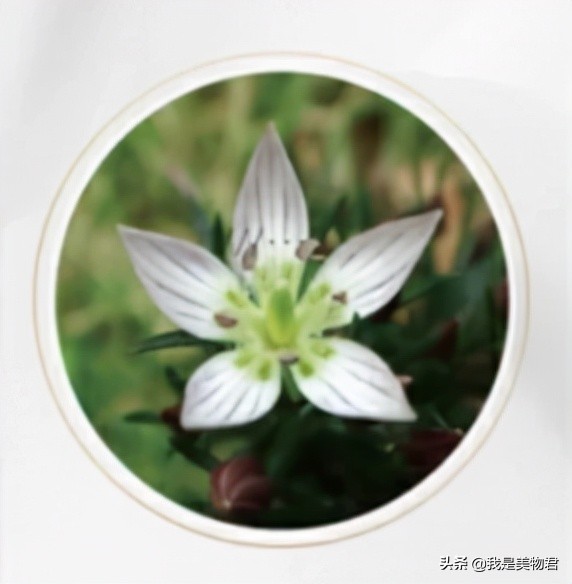 防脱发生发密发最佳产品评测,防脱生发好物推荐