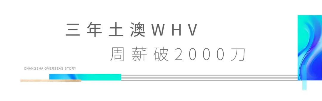 90后大蒜在澳洲：创业失败+意外车祸，出国打工还债，3年赚了70万