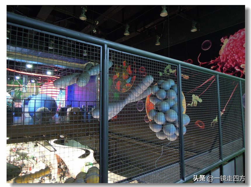 参观北京科技馆游记,参观北京科技馆的感想