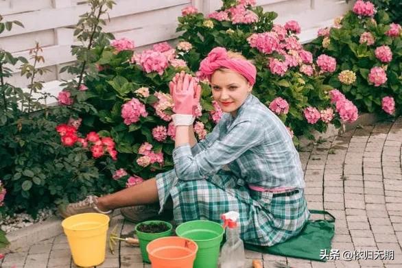 绣球花拍照技巧大全,绣球花图片怎么拍出高级感