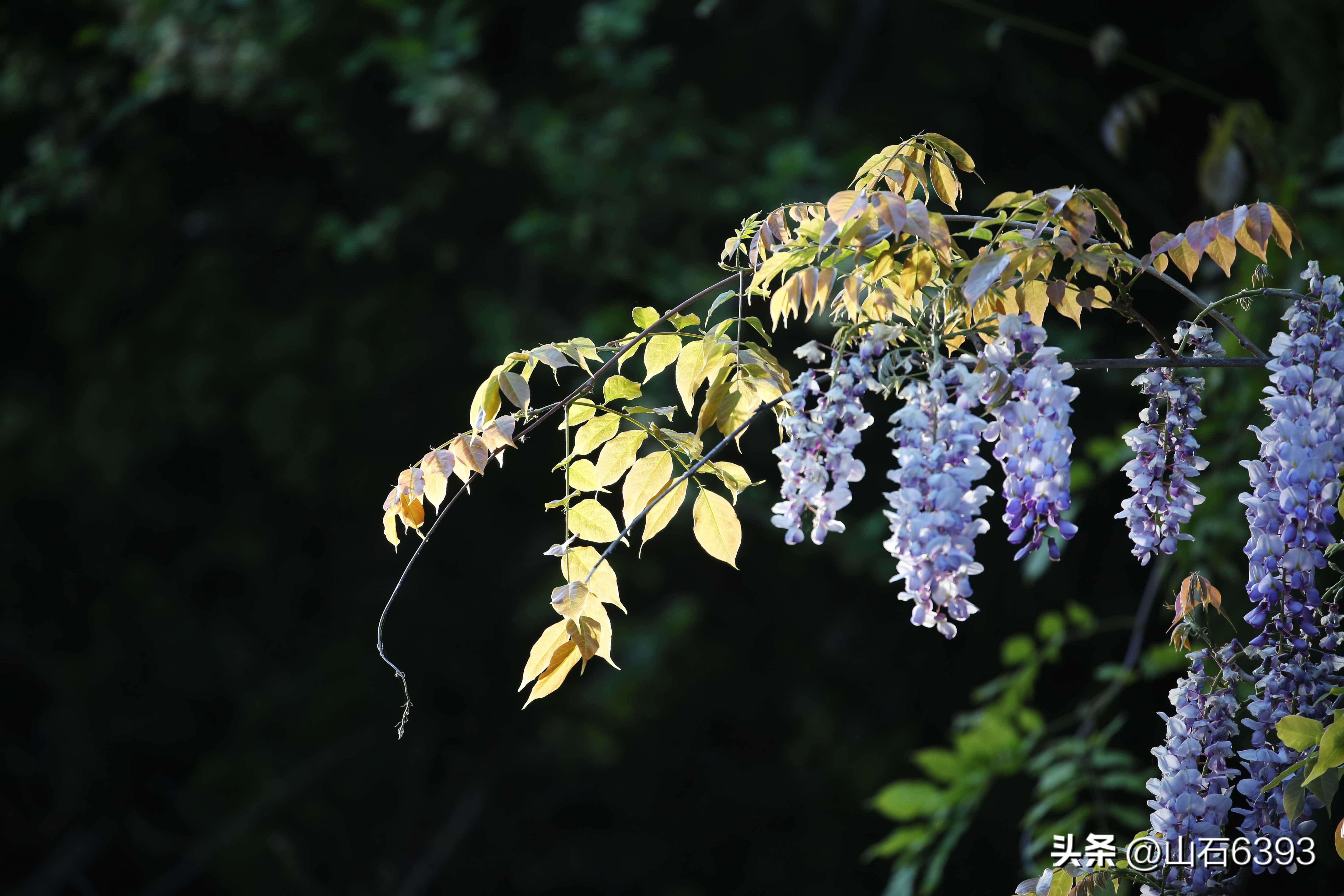 【战友美文】田兆广深情“忆潍坊”18《一篇没有见报的典型报道》