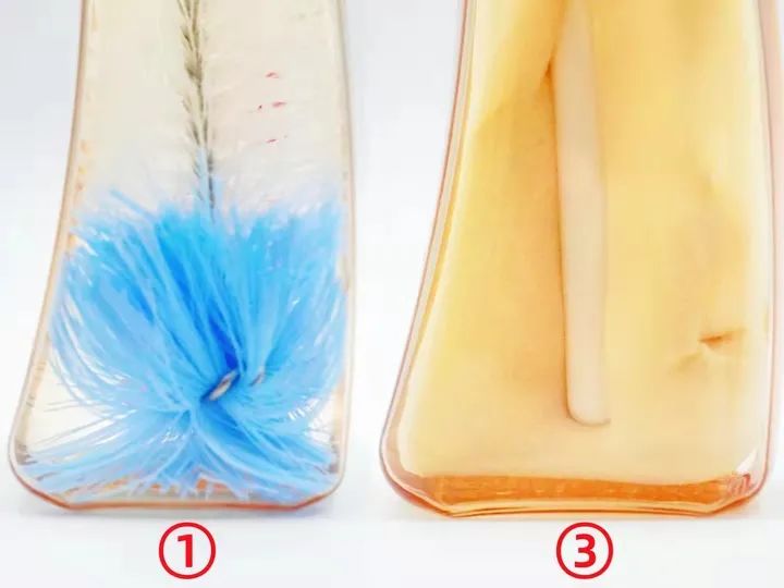 8款热门奶瓶实测,奶瓶刷十大排行榜可优比