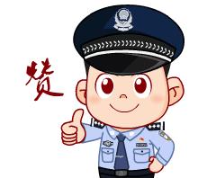 社会治安防控体系试点,社会治安综合治理防城港