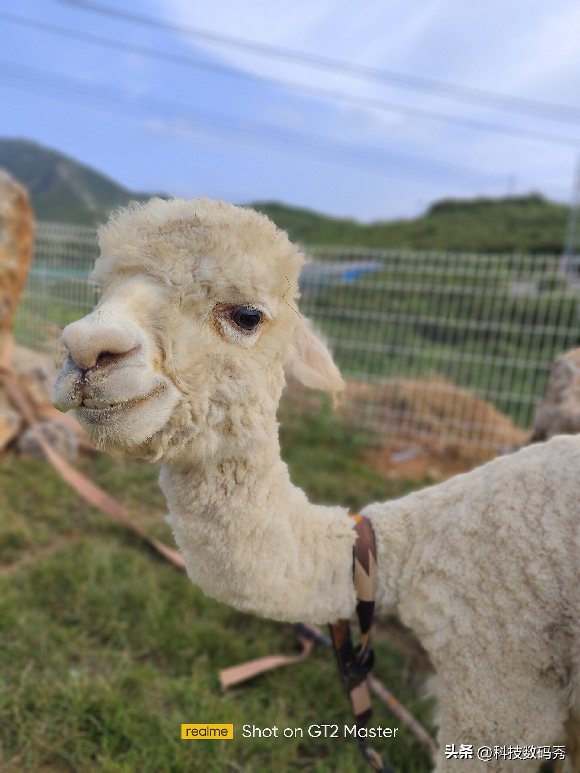 realmegt2大师探索版外观,realme真我gt2大师探索版游戏测评