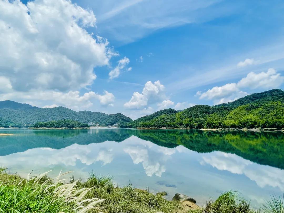 广州从化赏荷花胜地,从化草埔荷花