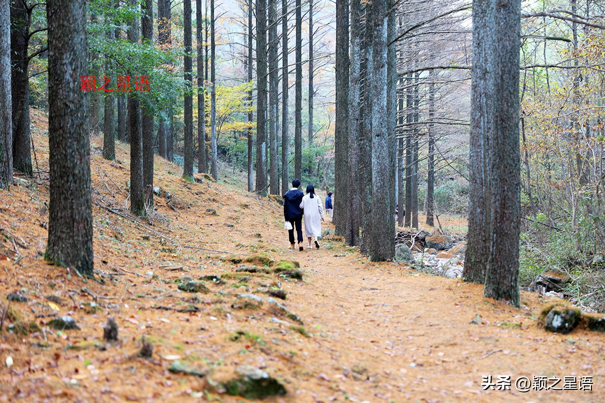 宁波黄金谷景区,宁波黄金谷