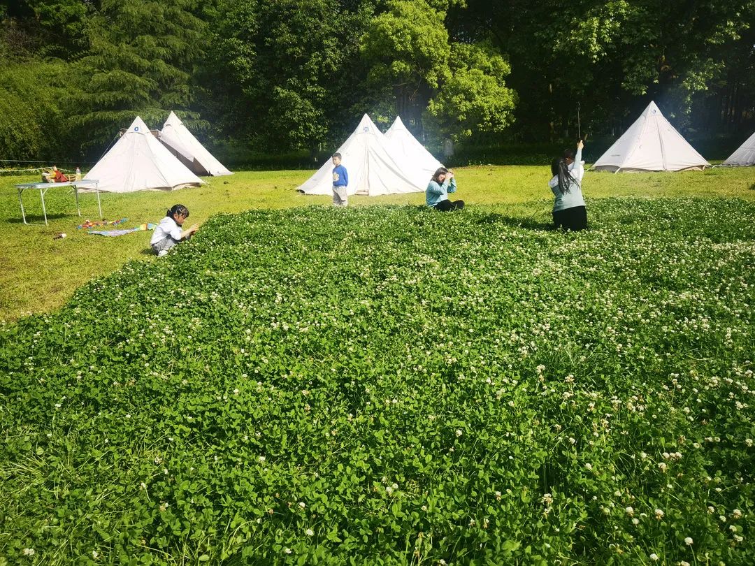 必去的花溪公园,假期余额不足游玩依旧火热