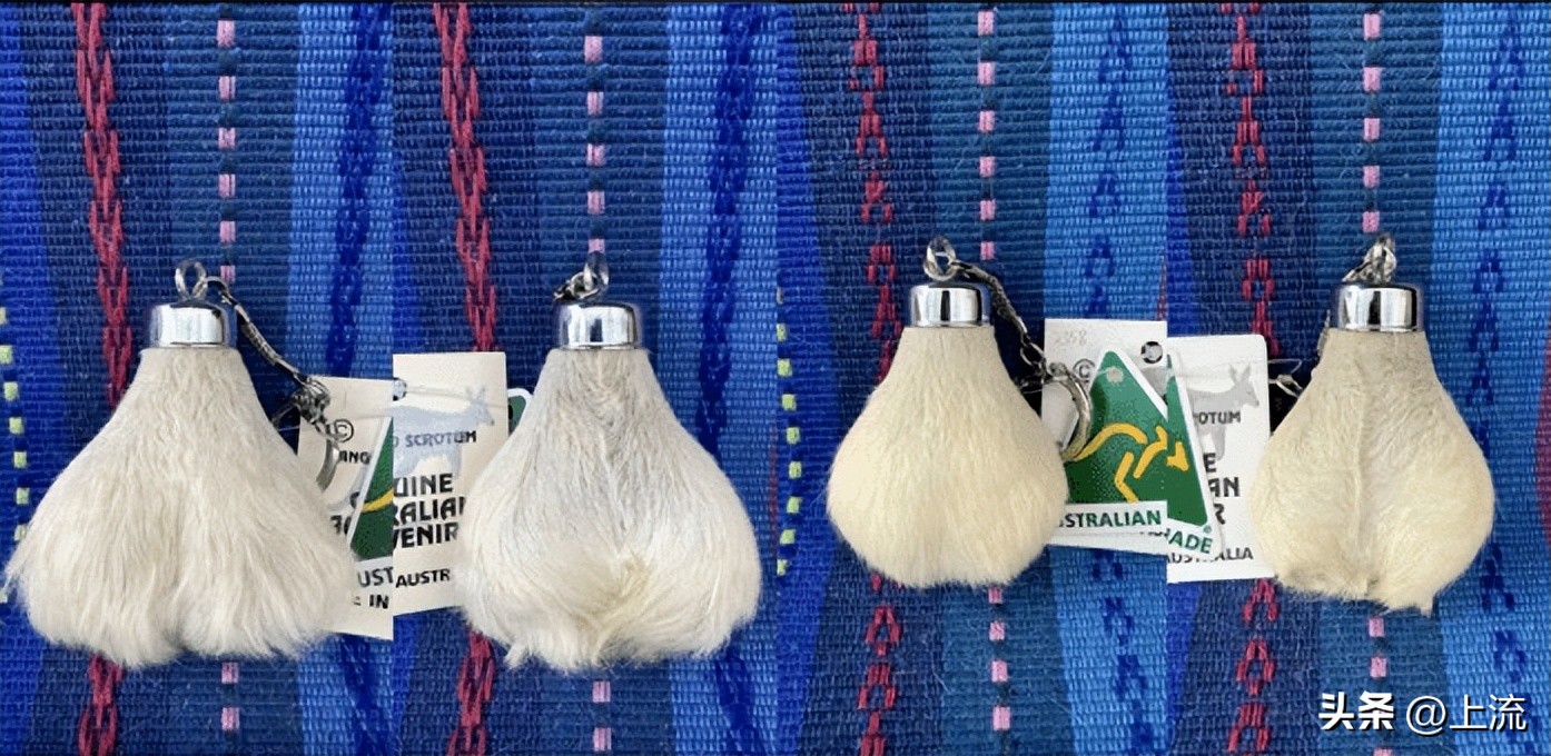 澳洲公袋鼠,袋鼠蛋蛋纪念品