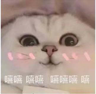 学生会面试前需要做哪些准备,学生会面试提问问题