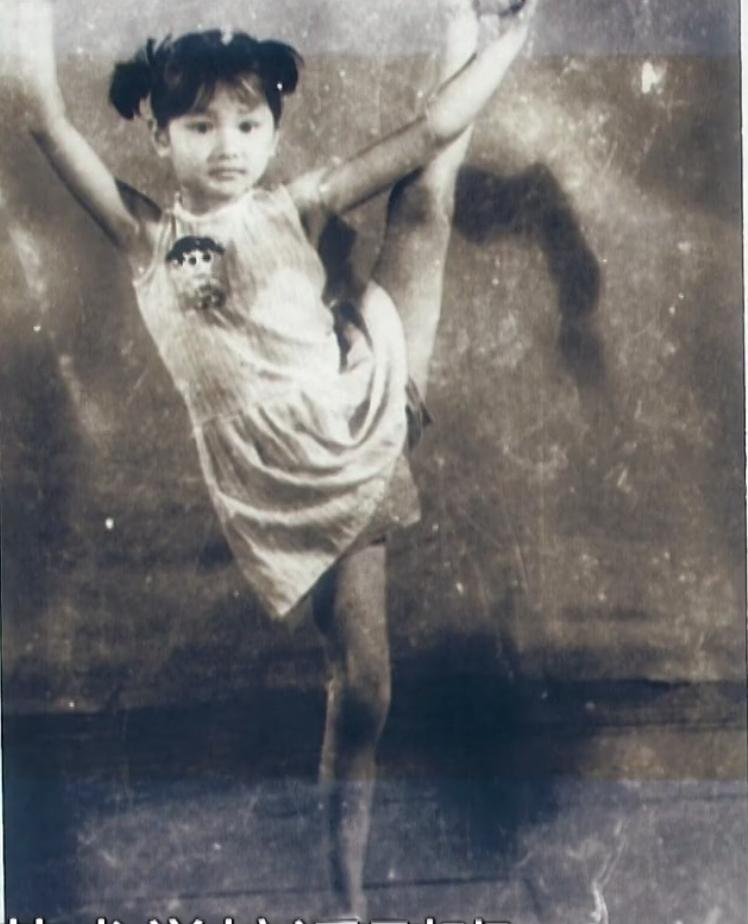 内娱有魅力的女演员,内娱公认演技女演员