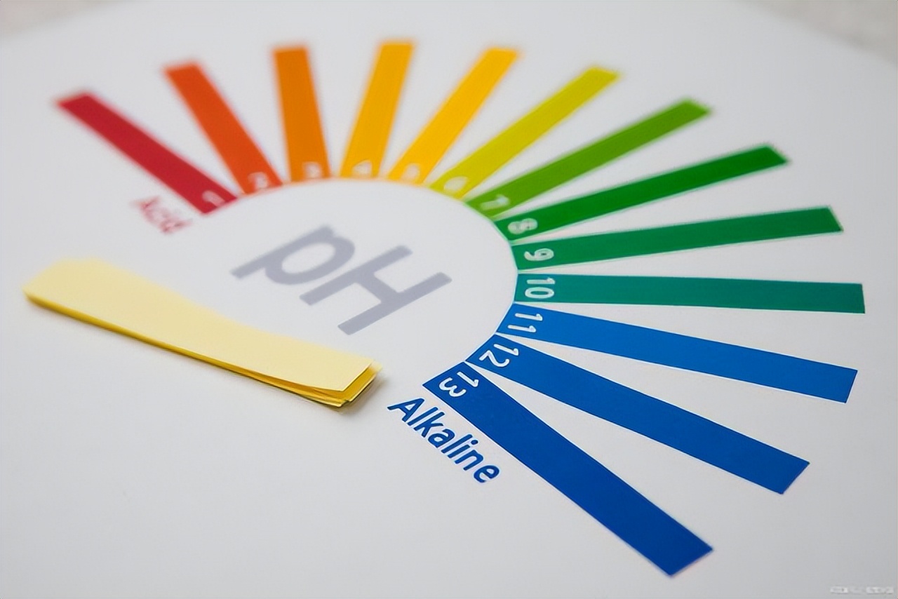 大家对湿厕纸的评价,哪个牌子湿厕纸不要买