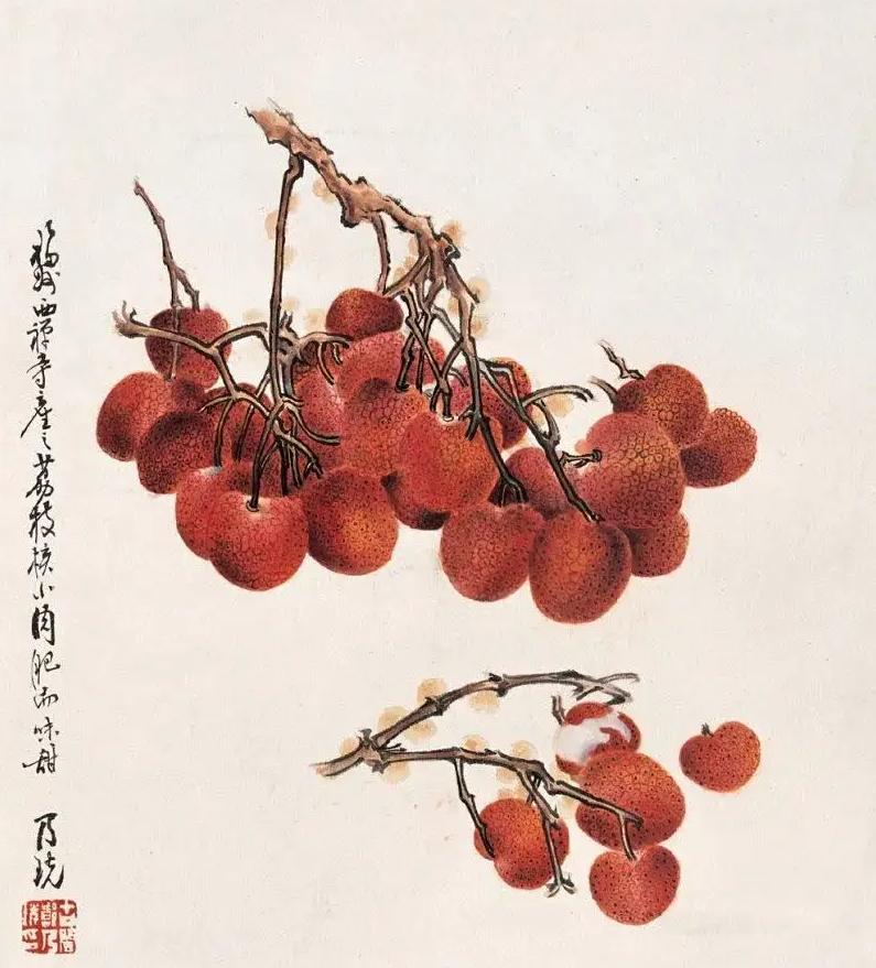 古代苹果叫什么名字,古代把苹果叫什么名字