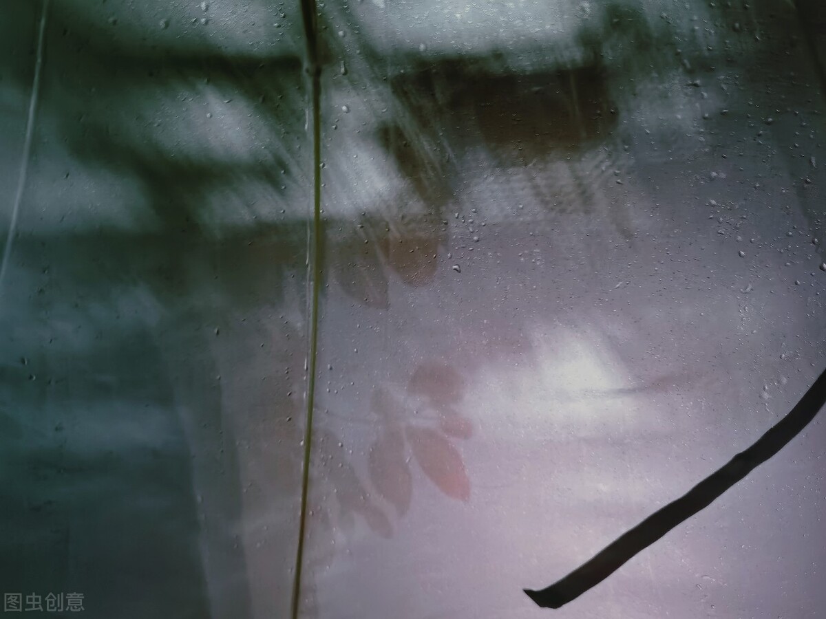 雨伞别乱撑，有人撑伞一眼万年惊艳时光