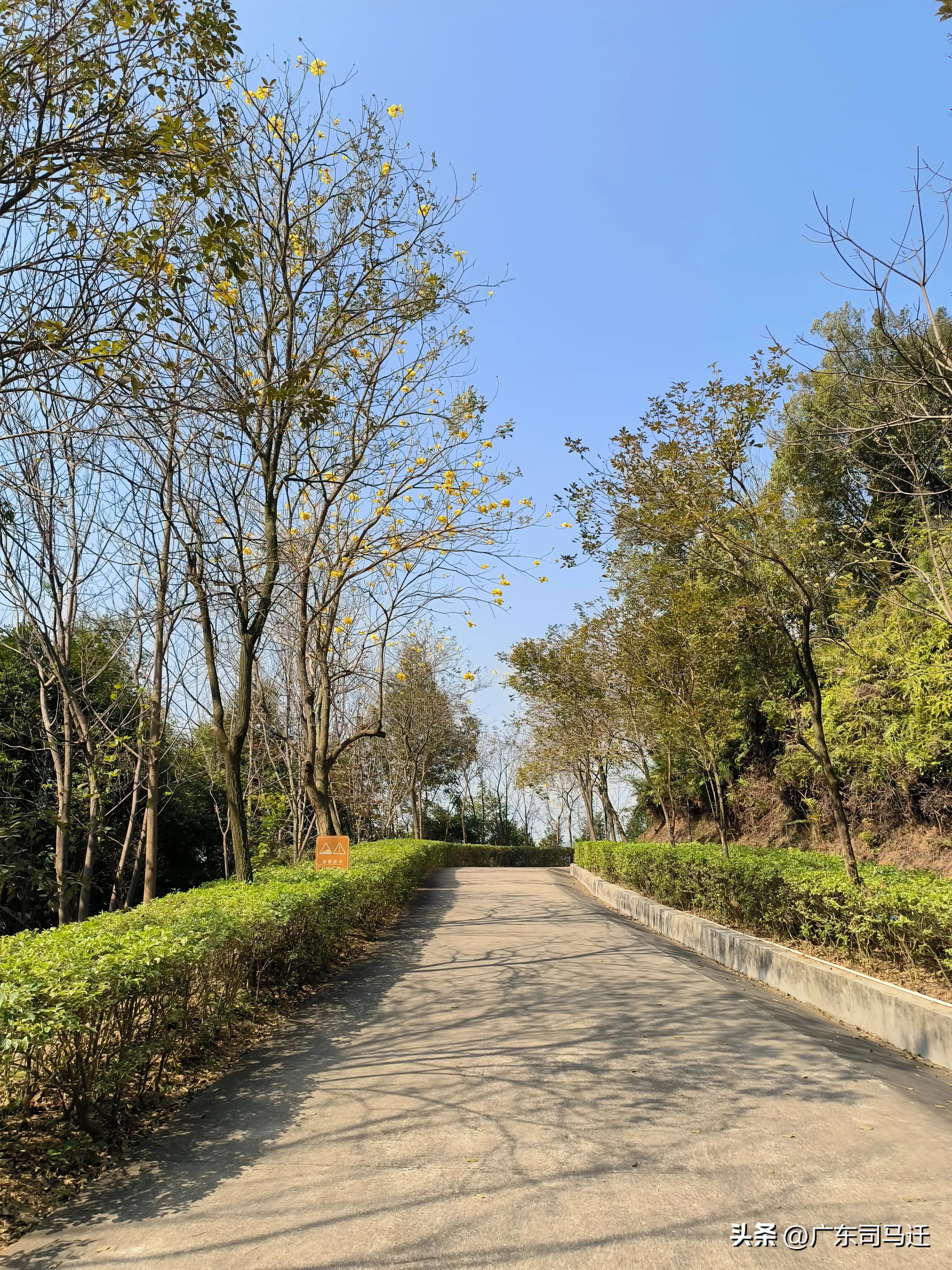 好玩的中山公园,中山公园这儿真美