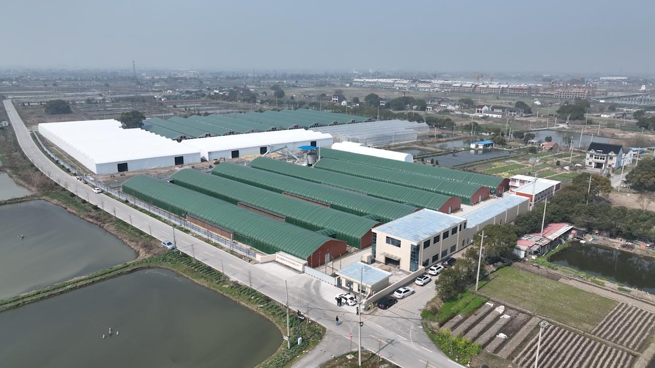 鹌鹑养殖500只投资多少钱,渭南鹌鹑养殖致富