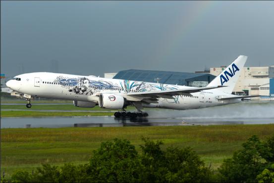 亚洲十大航司,亚洲前十机队有哪些