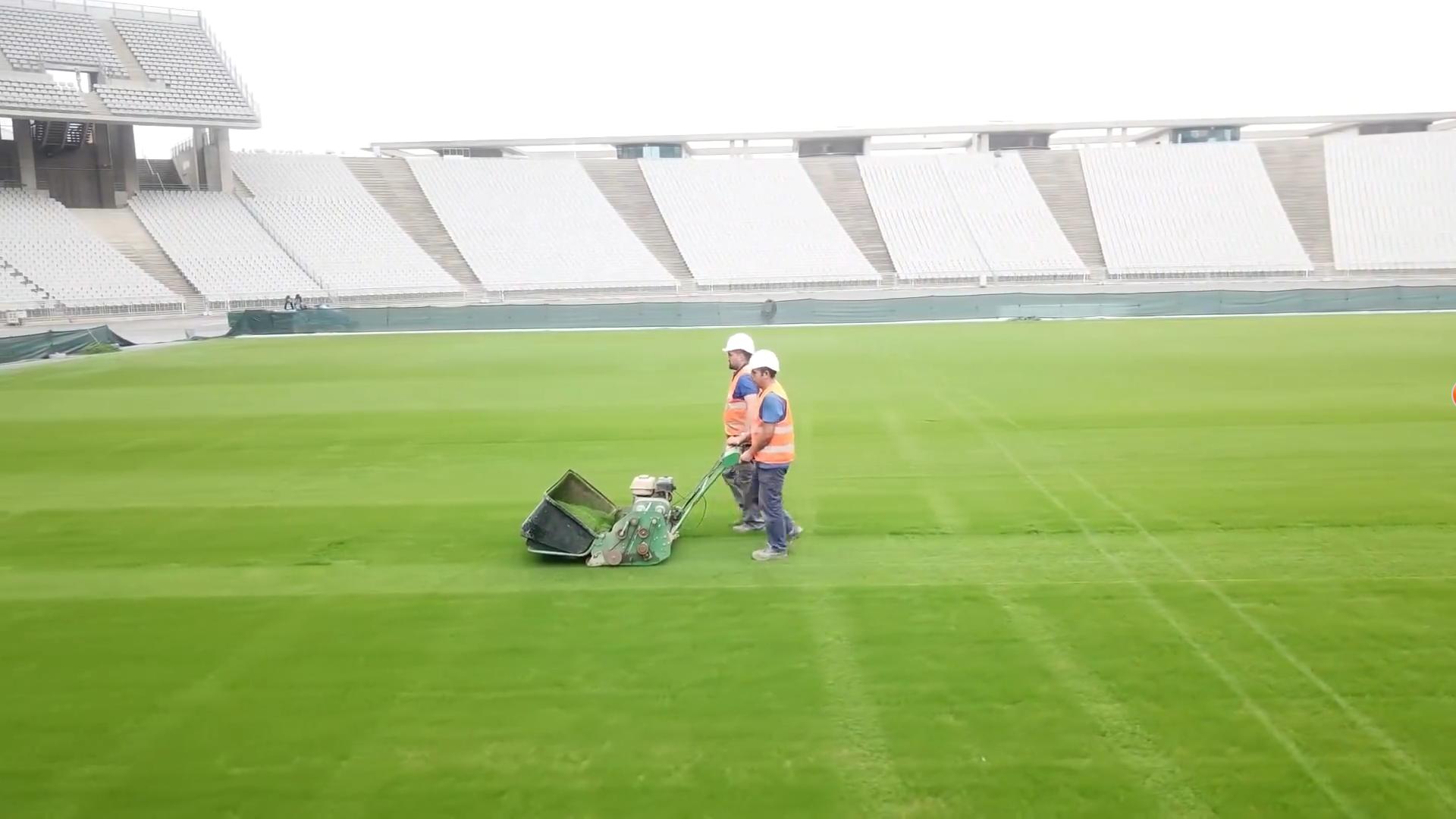 卡塔尔世界杯球迷反映冰火两重天,卡塔尔世界杯投资2200亿