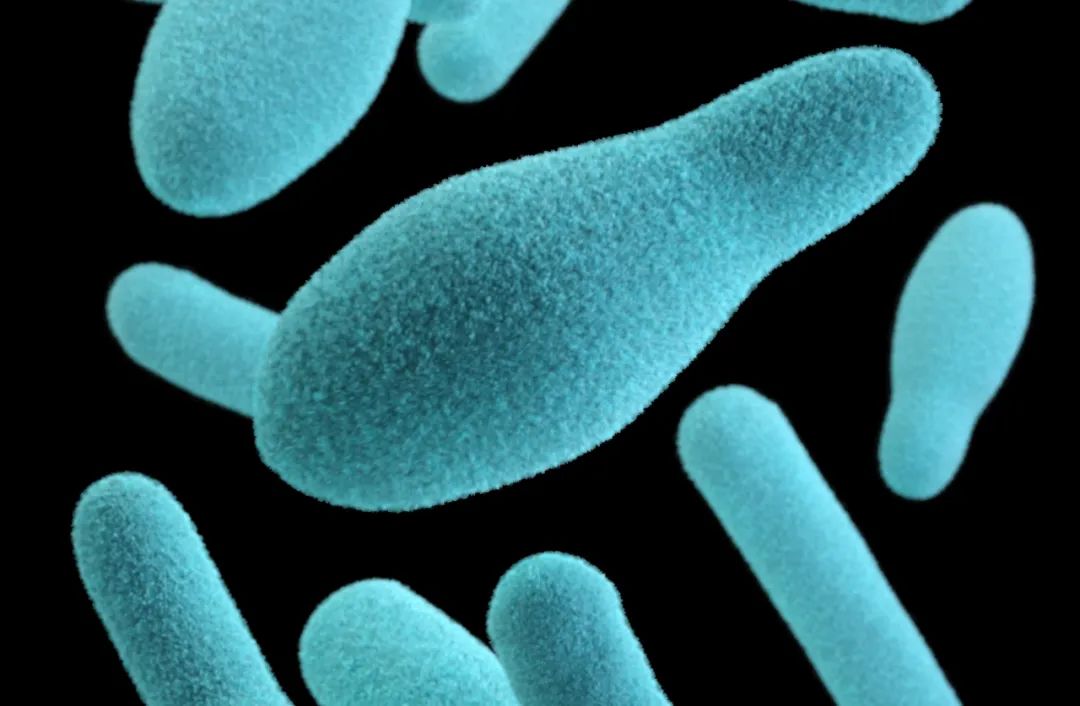 腿磕破了伤口深需要打破伤风吗,嘴巴里磕破需要打破伤风吗