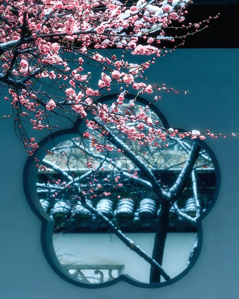 那些一眼就惊艳到你的诗词,50句意境超美的诗词