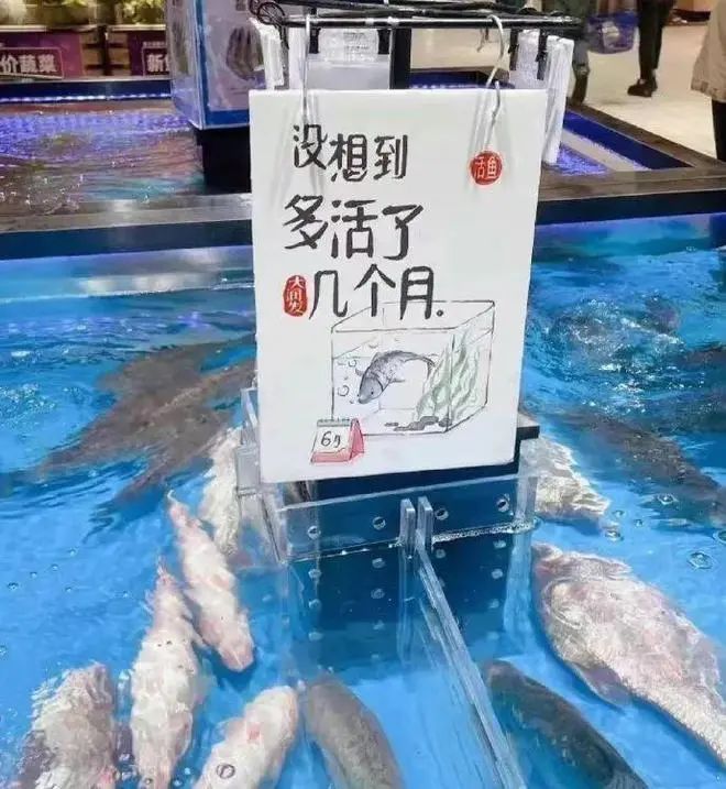 底线何在？大润发每出一件周边，就有一条鱼受到伤害