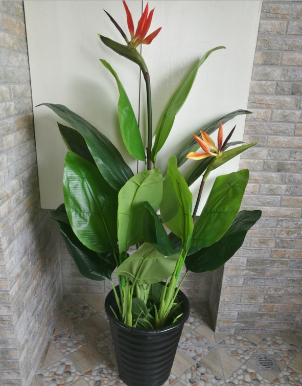 百花齐放春意浓群芳争艳,百花齐放喜迎新春