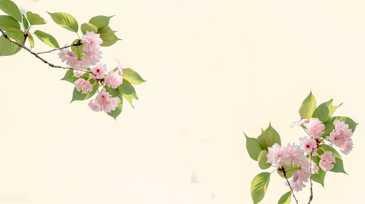 商界大佬的创业故事,100个商业大佬创业故事