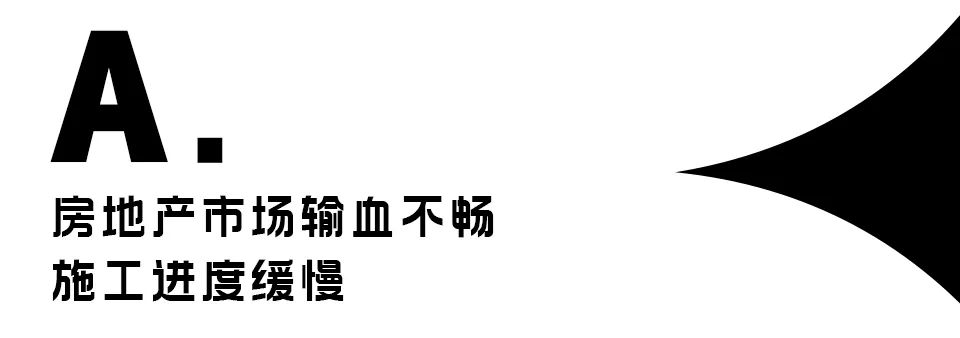 鸽王争霸,鸽王争霸赛开幕