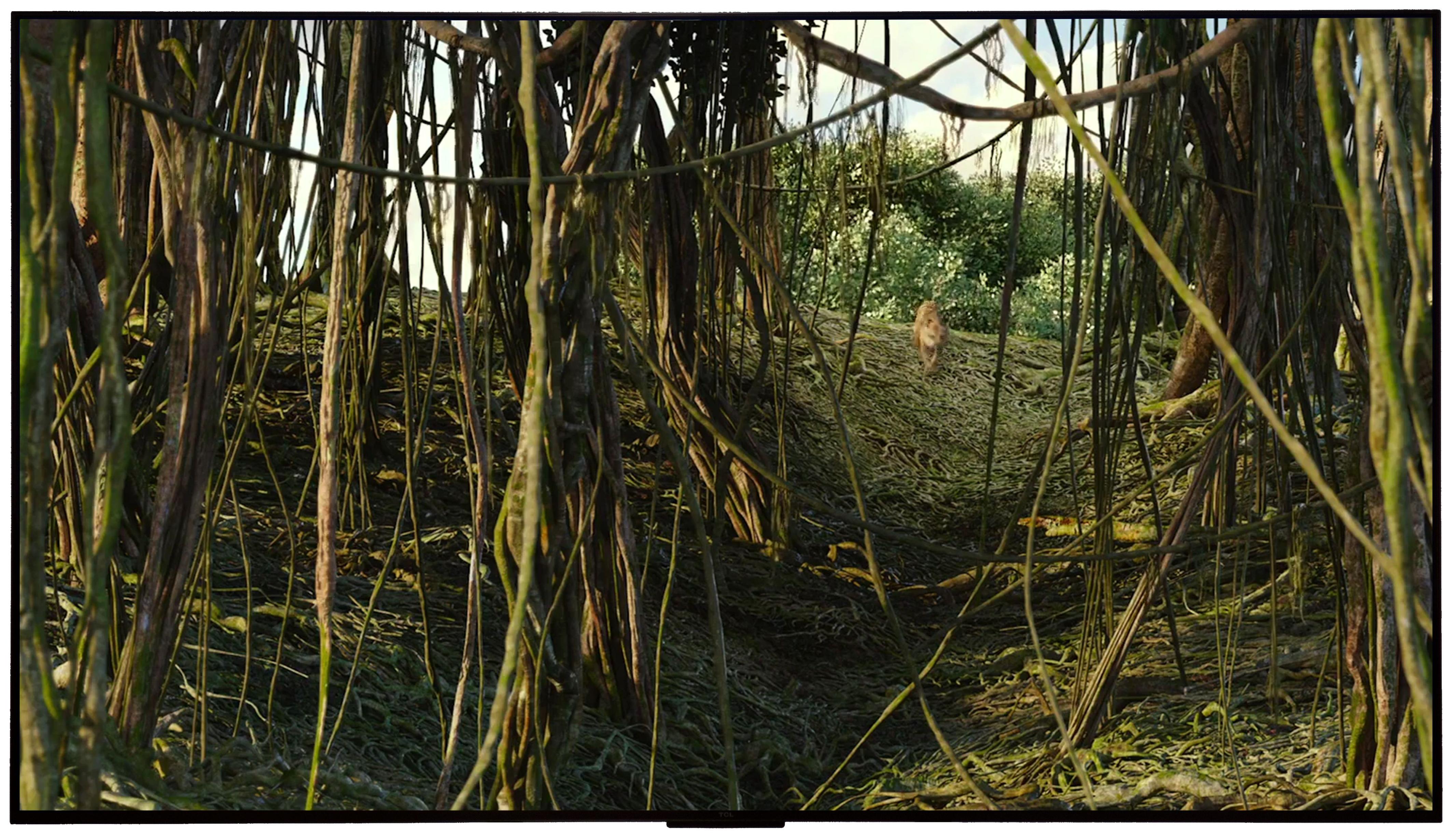 tclq10g85寸miniled电视实拍,tcl55q10g55寸电视miniled测评