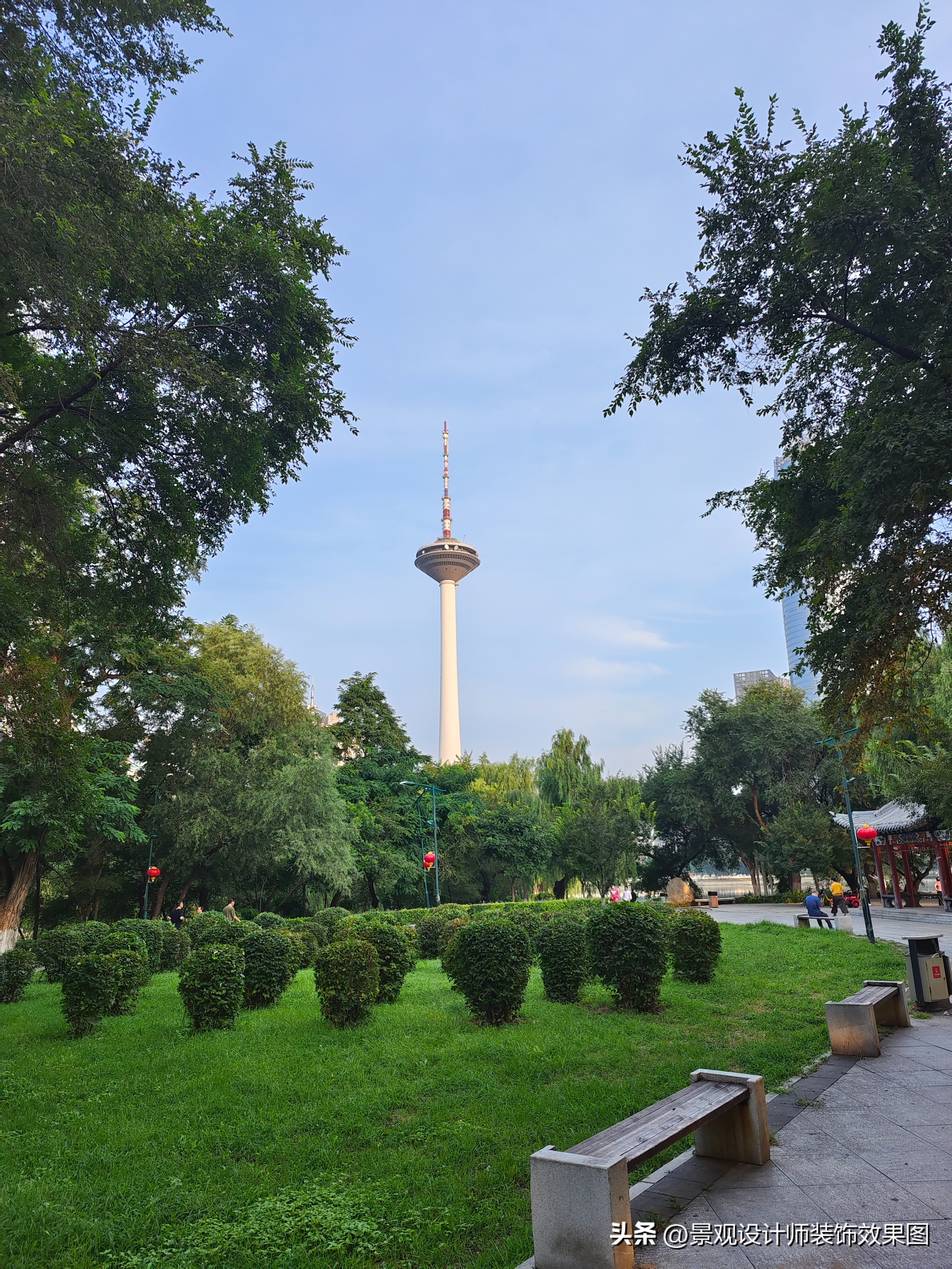 沈阳青年公园所在地,沈阳青年公园