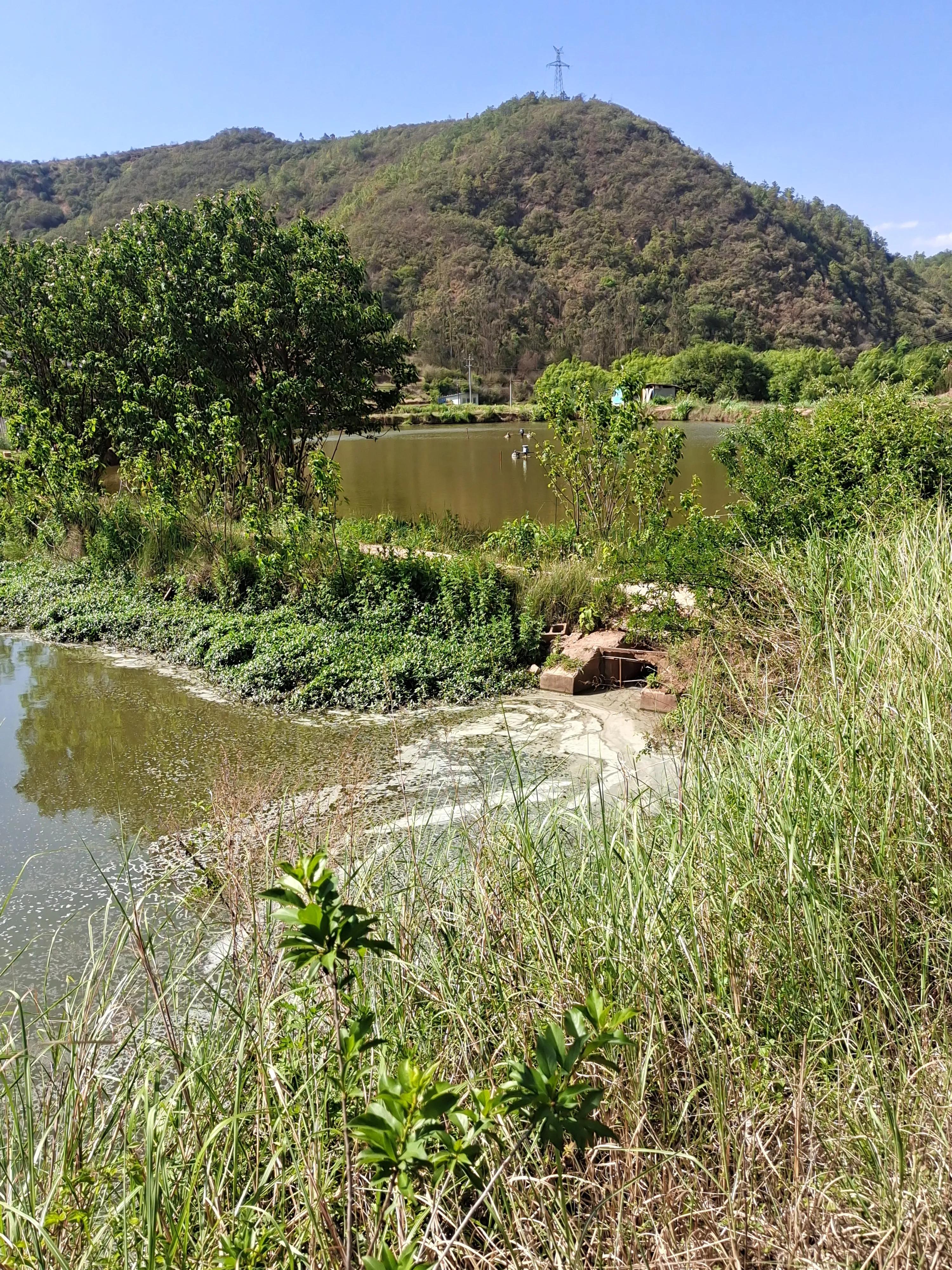 基本农田改成鱼塘手续,农田改鱼塘再建房是什么操作