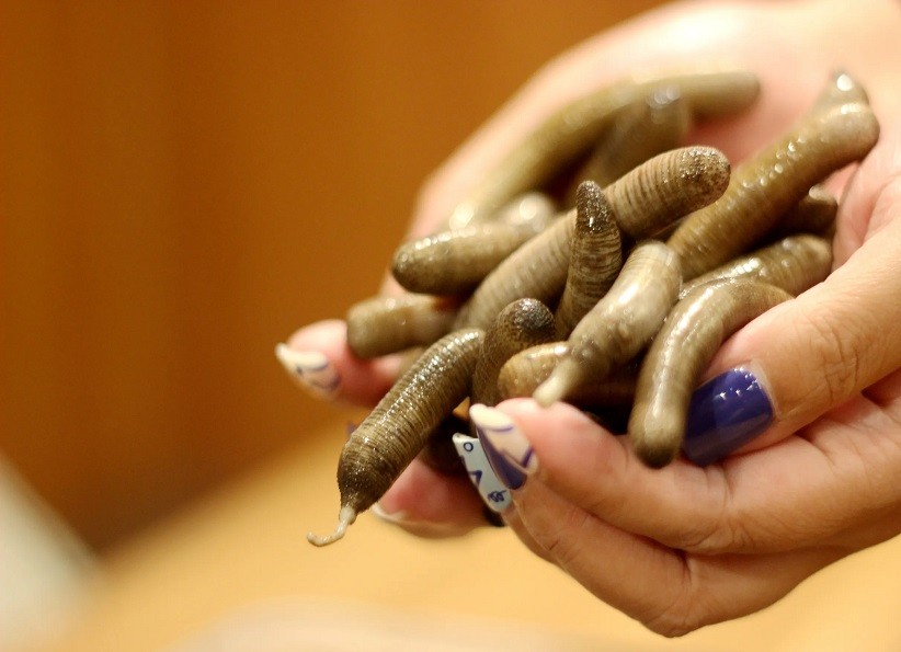 天津四大怪菜,天津经典十大名菜