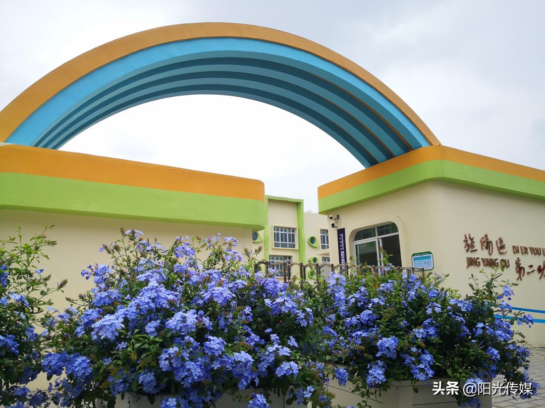 2024德阳公办幼儿园报名统计,德阳2024幼儿园招生信息一览表