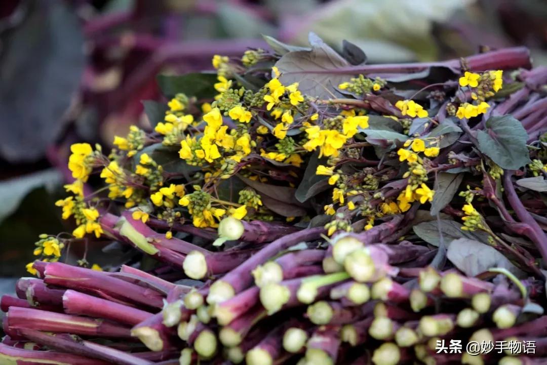 中国十大传统名菜大全,中国菜八大菜系十大名菜