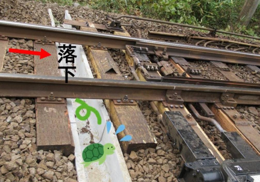 马必须要装马蹄铁吗,什么马不用马蹄铁