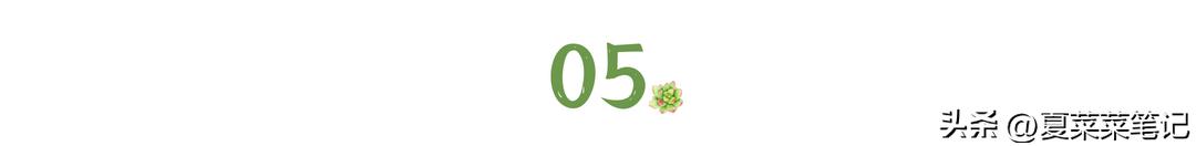 父母养老问题独生子女难吗,父母养老的心酸