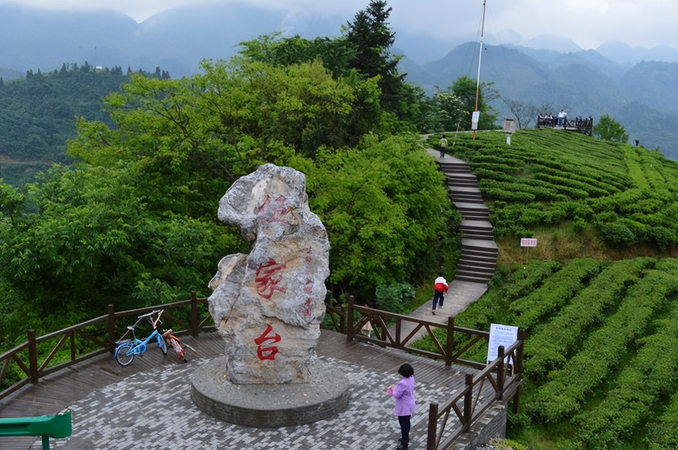 大城武汉,小城恩施——绿油油的伍家台