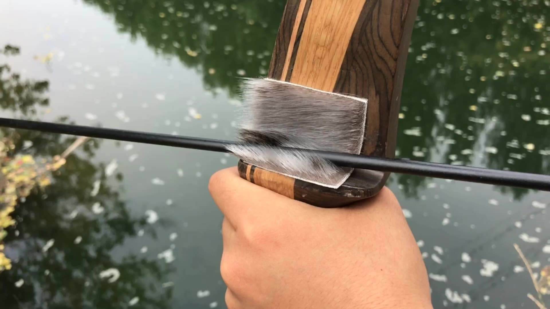 辽宁大连100头斑海豹幼仔遭猎捕,辽宁盘锦斑海豹罕见上岸晒日光浴