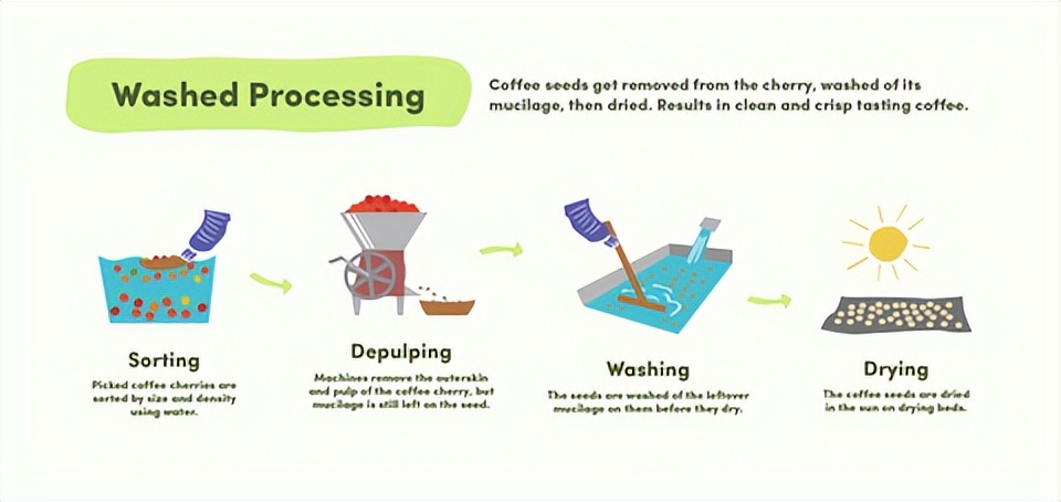 学习制作咖啡技术去哪里,咖啡的制作和种类