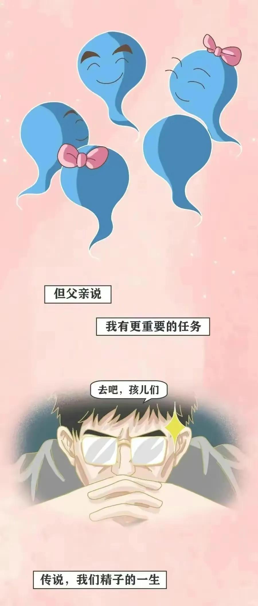 精子进入女生体内的全过程，真是一路坎坷又艰难