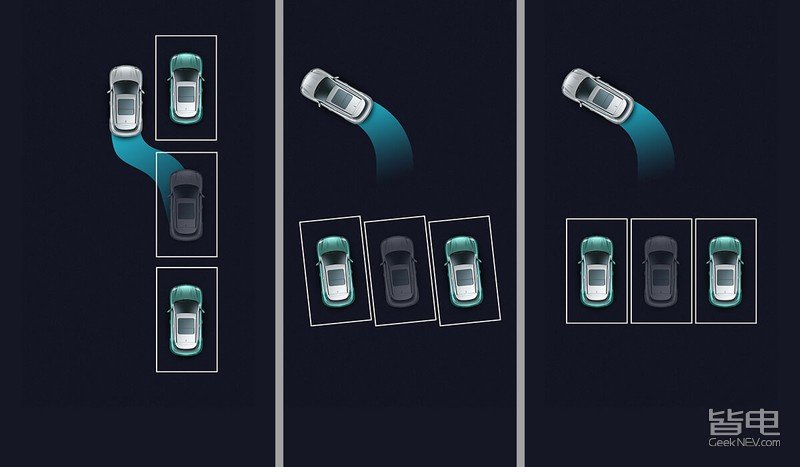 一只美貌与智慧并重的猫咪,一只靠自己找到今生铲屎官的橘猫